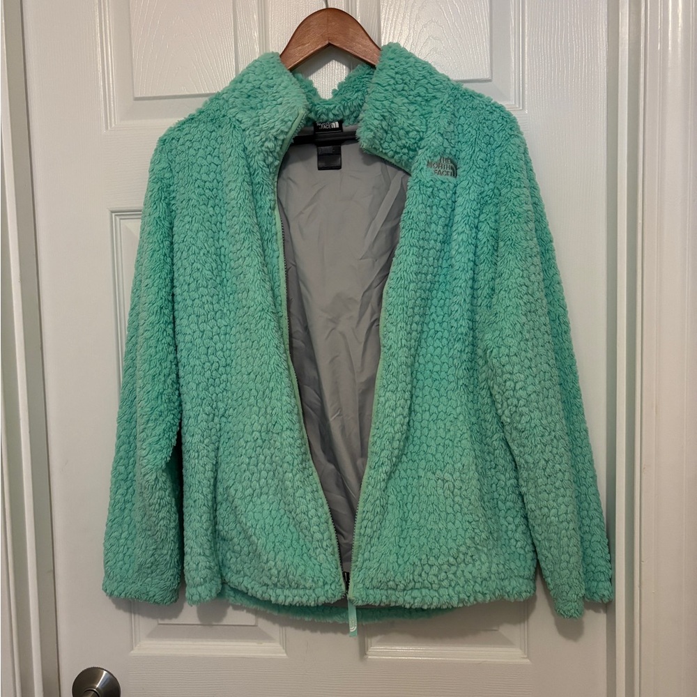 The North Face Mint Teddy Jacket